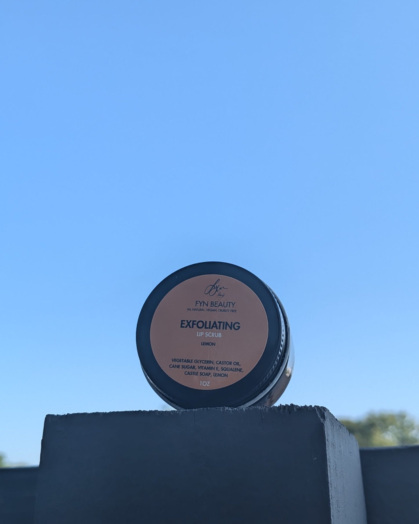 Lip Scrub